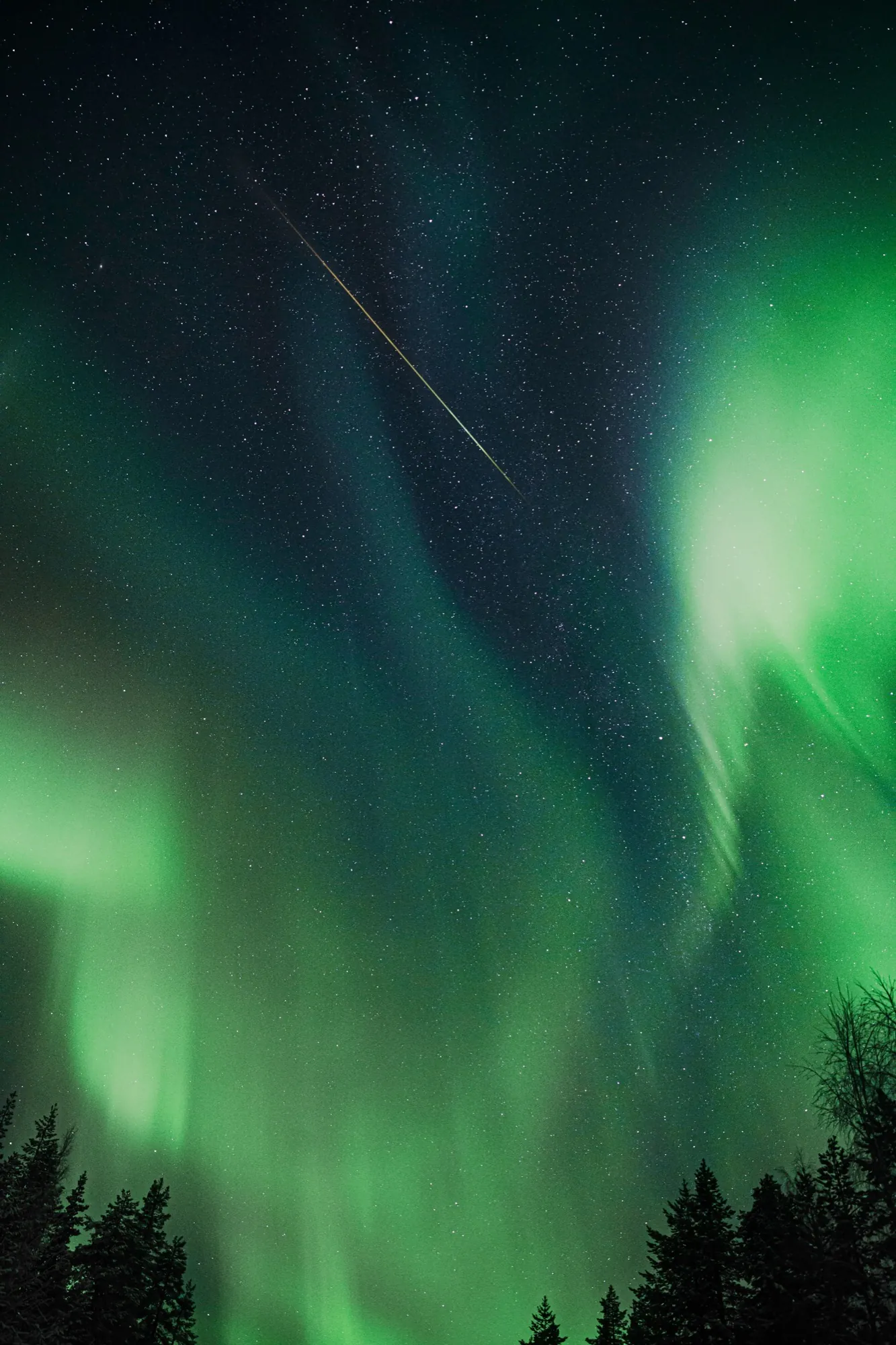 Aurora and a shooting star over the mountains of Senja