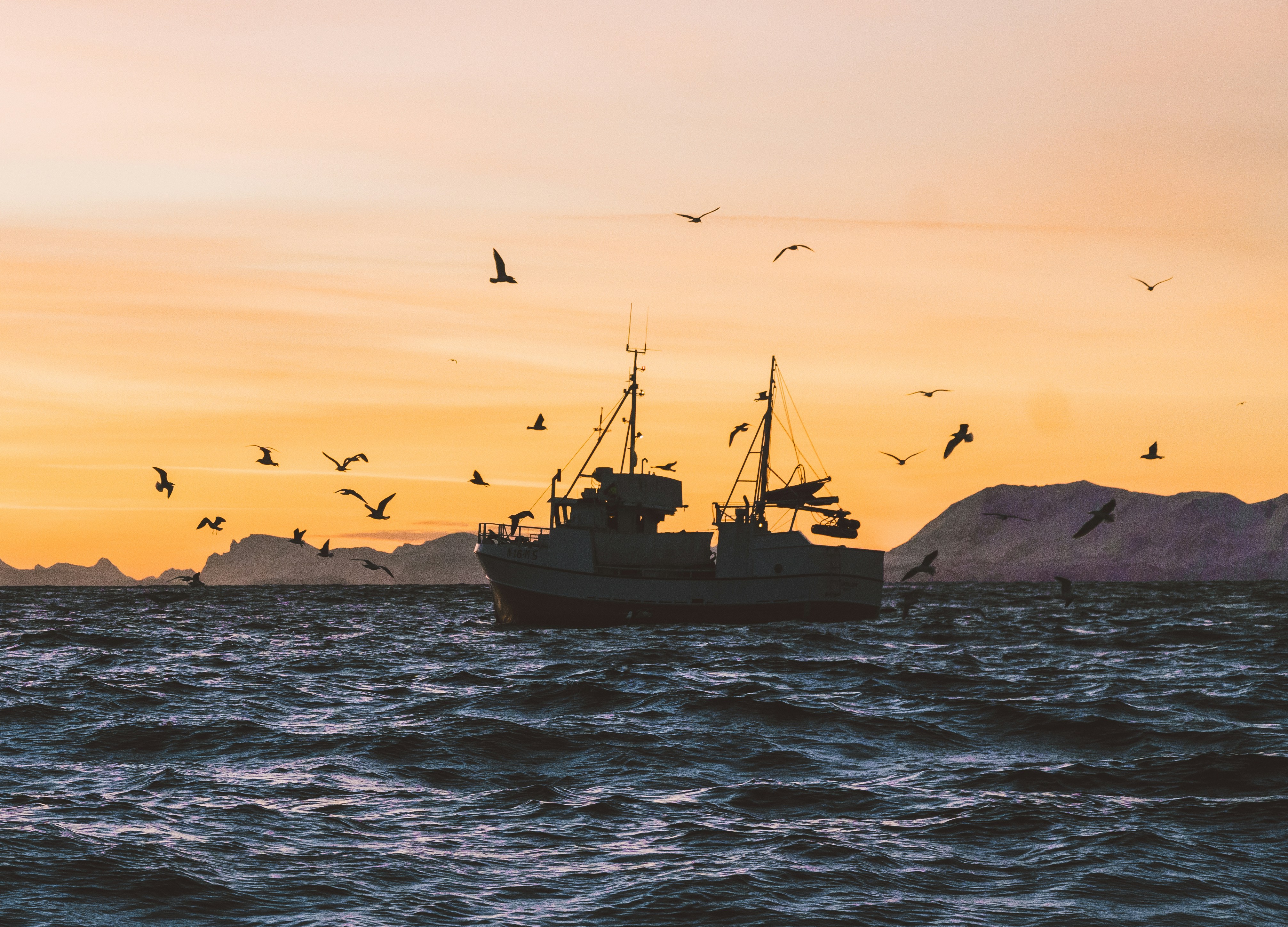 Fishing vessel silhouetted against an orange Arctic sunset, seabirds wheeling overhead