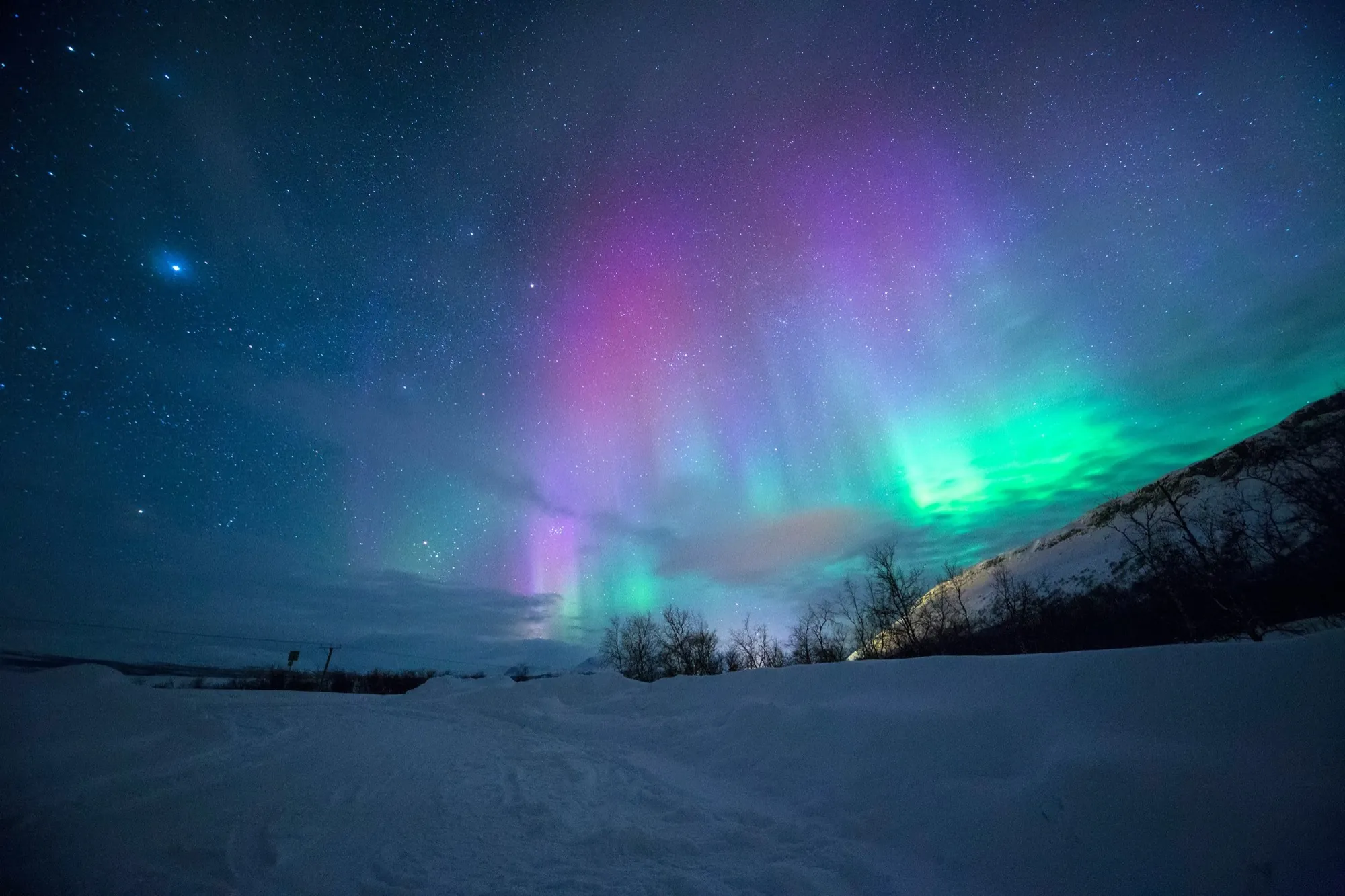 Purple and green northern lights over snowy landscape